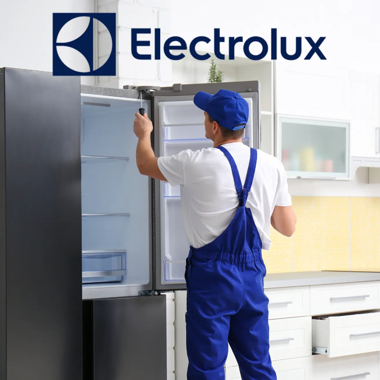Técnico independiente; reparamos equipos Electrolux en Cali